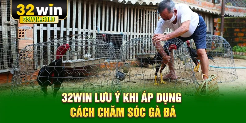 32WIN lưu &yacute; khi &aacute;p dụng c&aacute;ch chăm s&oacute;c g&agrave; đ&aacute;