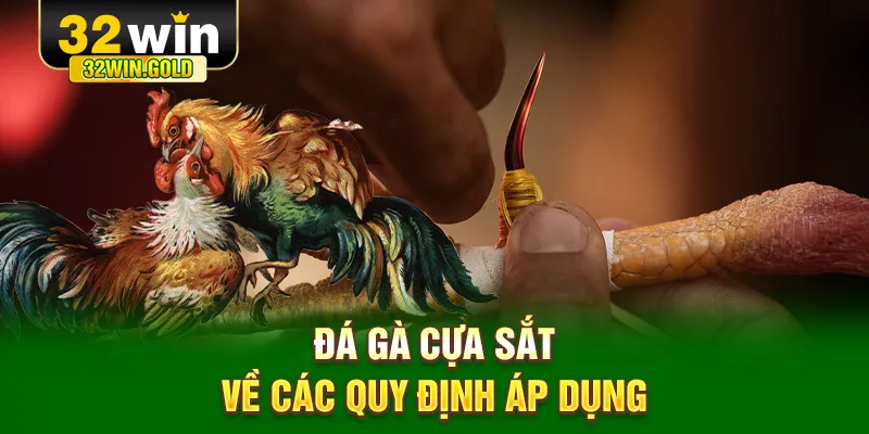 Đ&aacute; g&agrave; cựa sắt về c&aacute;c quy định &aacute;p dụng