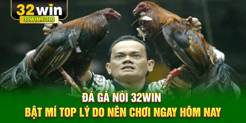Đá gà nòi 32win