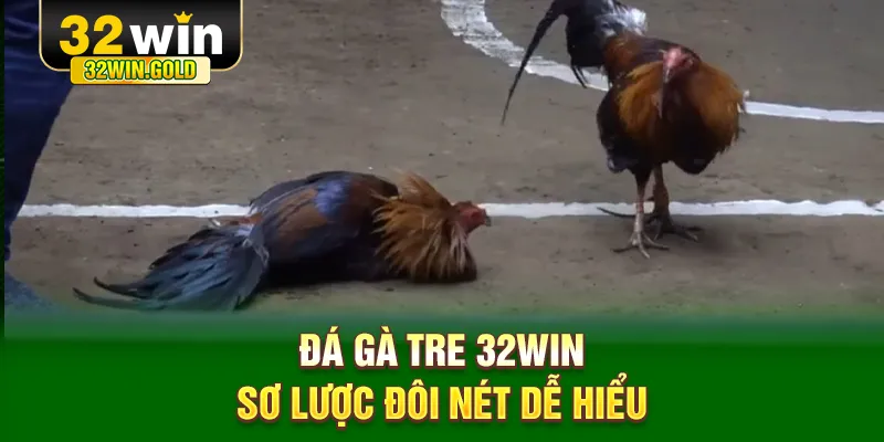 Đ&aacute; g&agrave; tre 32WIN sơ lược đ&ocirc;i n&eacute;t dễ hiểu