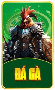 đá gà
