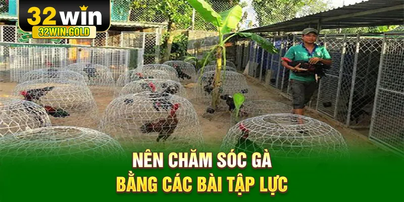 N&ecirc;n chăm s&oacute;c g&agrave; bằng c&aacute;c b&agrave;i tập lực